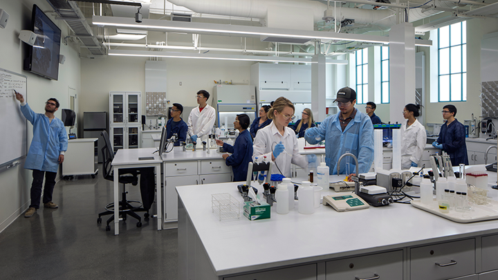 Researchers and graduate students in a SDSU lab
