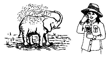 A girl applying sunscreen just as an elephant sprays water on itself.